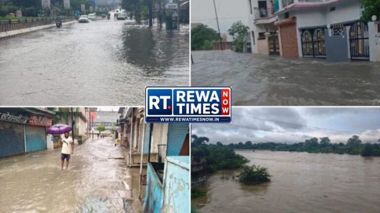 रीवा में बारिश से बिगड़े हालात, एसपी कार्यालय में घुसा पानी; पुराने सरकारी रिकॉर्ड प्रभावित रीवा में बारिश से बिगड़े हालात, एसपी कार्यालय में घुसा पानी; पुराने सरकारी रिकॉर्ड प्रभावित